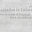 anthro309