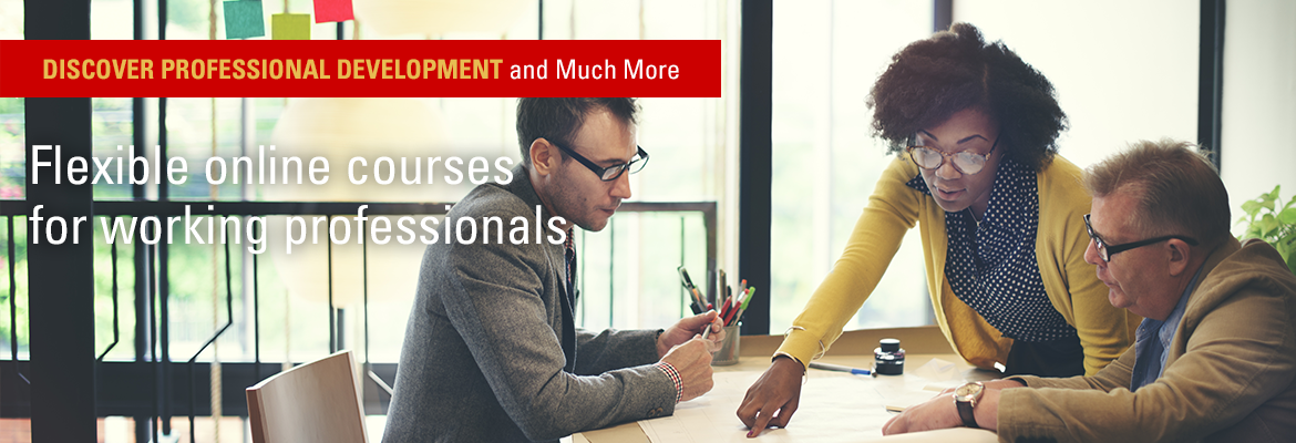 Main Banner Photo - Flexiable online courses for the working professionals 